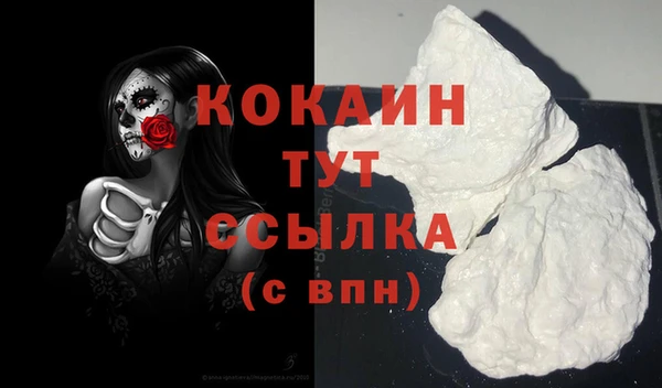 мдпв Верхний Тагил