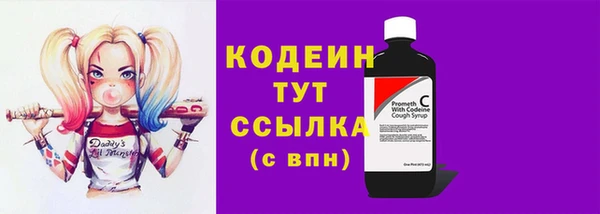 мдпв Верхний Тагил