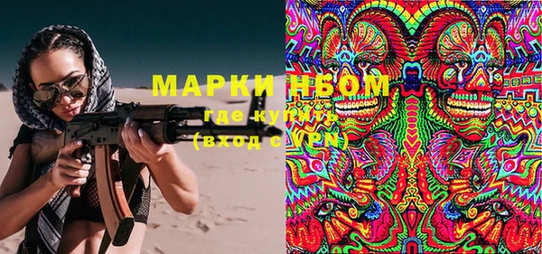 мдпв Верхний Тагил