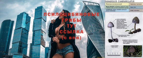 мдпв Верхний Тагил