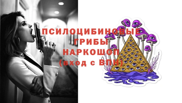 spice Верея